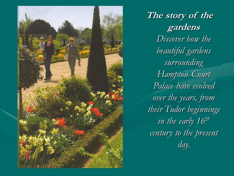 The story of the gardens Discover how the beautiful gardens surrounding Hampton Court Palace